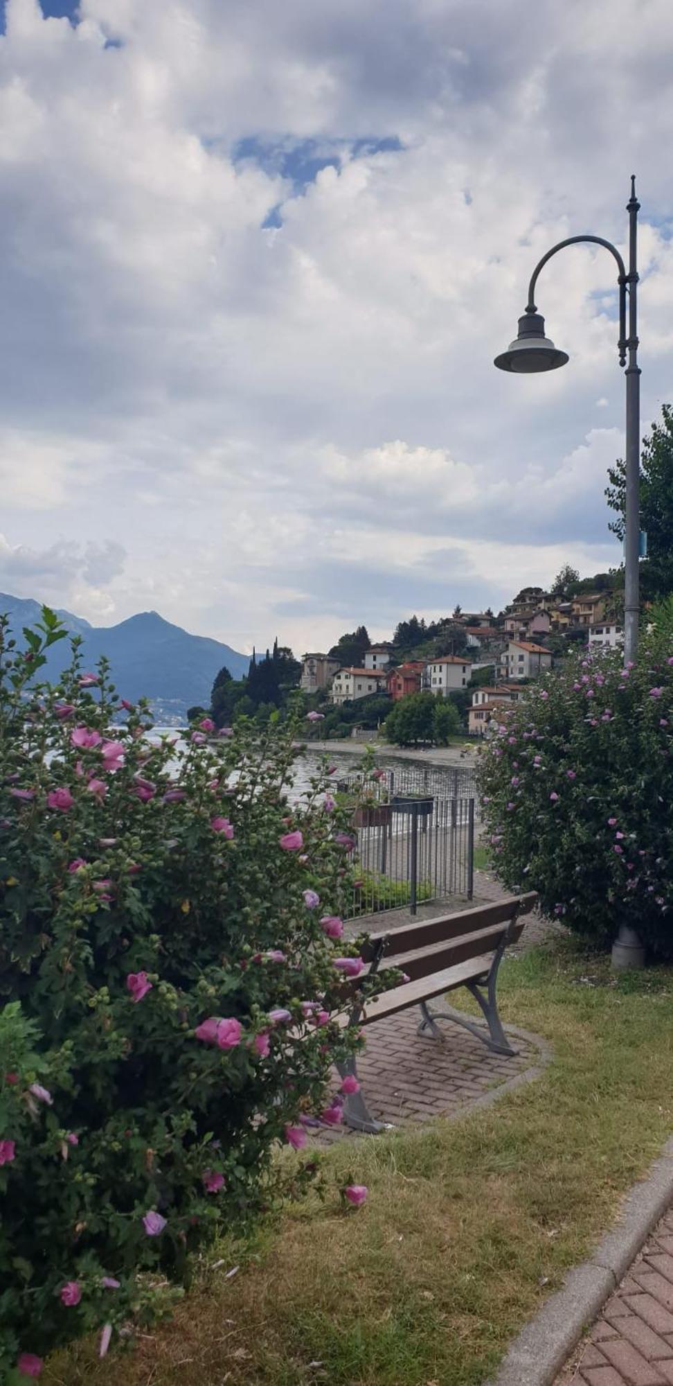 Residence Laguna Beach Pianello Del Lario Dış mekan fotoğraf